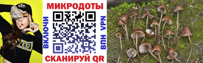 наркотики  ссылка на мегу ссылки  Галлюциногенные грибы MAGIC MUSHROOMS  Фролово 